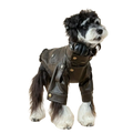 Black leather faux leather dog jacket with gold-tone buttons and collar detail for warmth and style
