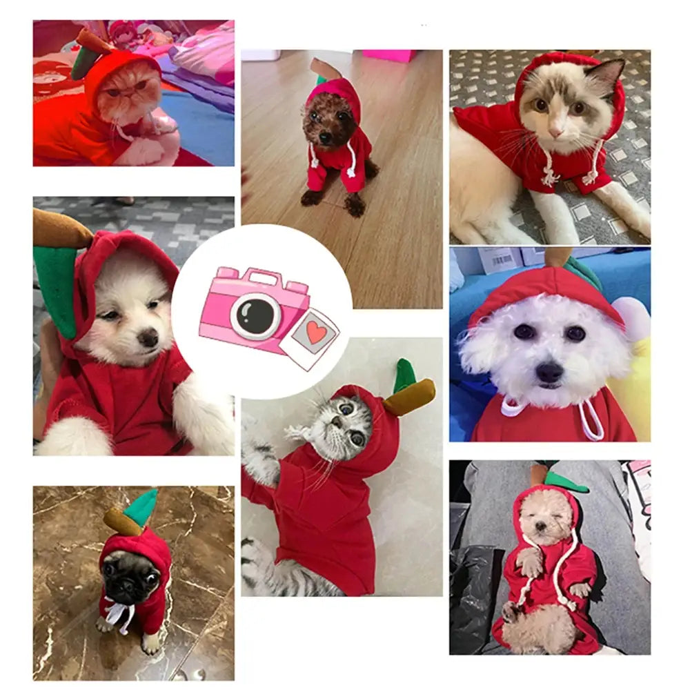 Sudadera con capucha de perro de fruta, abrigo de forro polar cálido para el invierno, ropa para cachorro