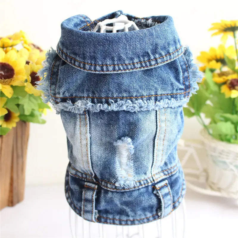 Blue denim dog vest with frayed edges and distressed ripped design featuring strawberry embroidery for puppies.