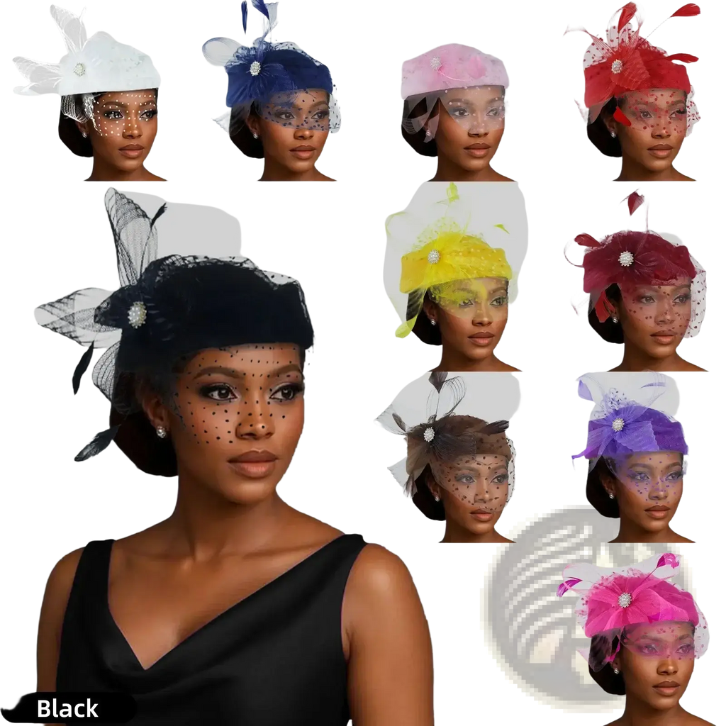 Black feather fascinator pillbox hat with sheer mesh veil and decorative feather accents for women wedding