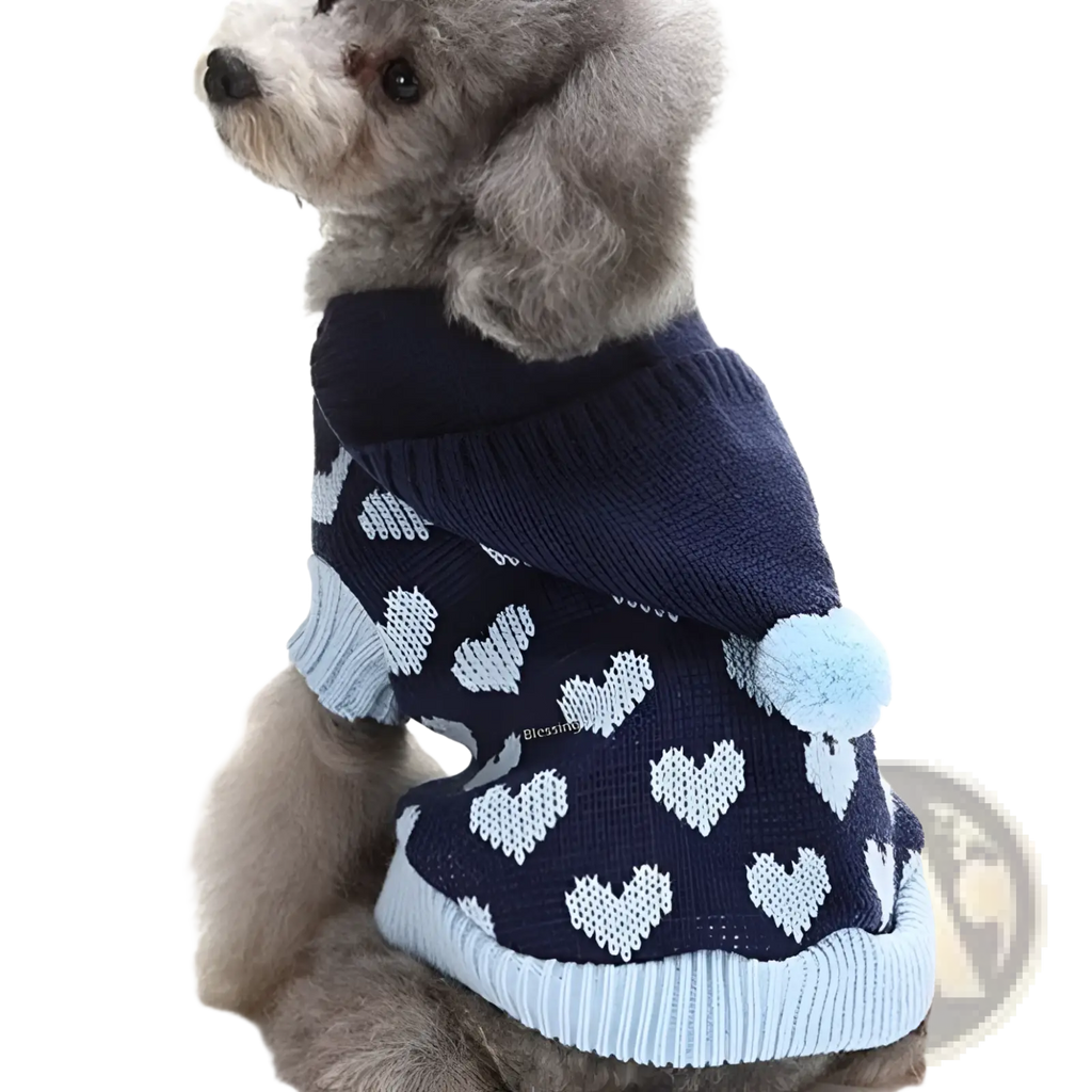 Navy blue and light blue knitted heart patterned dog hoodie with fluffy pom pom tail for festive winter wear