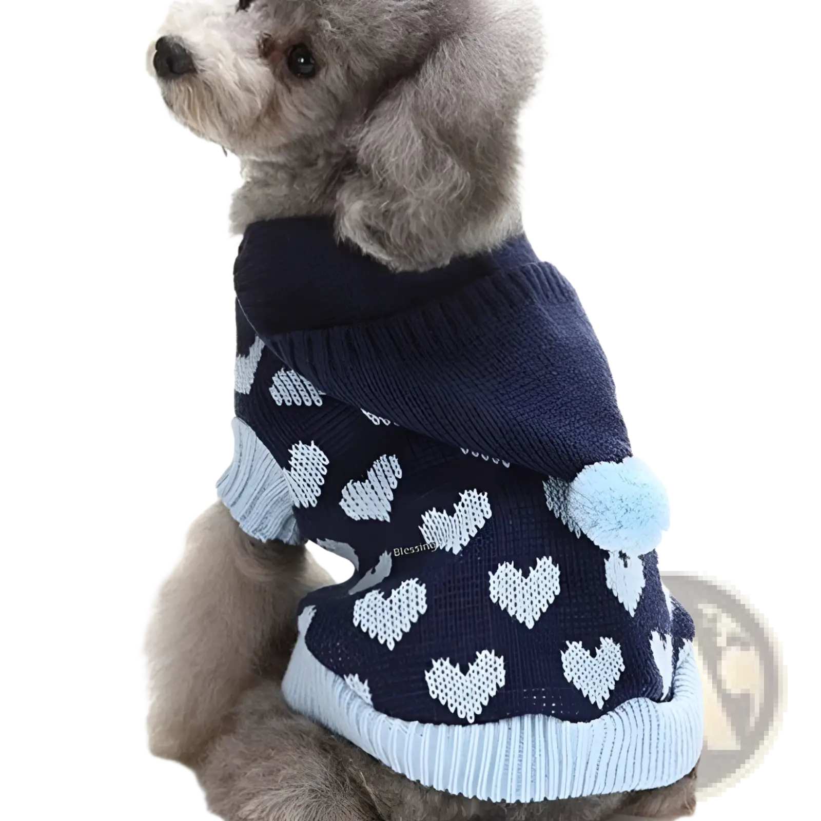 Navy blue and light blue knitted heart patterned dog hoodie with fluffy pom pom tail for festive winter wear
