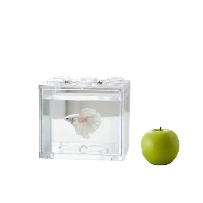 Clear acrylic filtered acrylic betta fish tank with lego-style design housing a white betta fish stackable mini aquarium