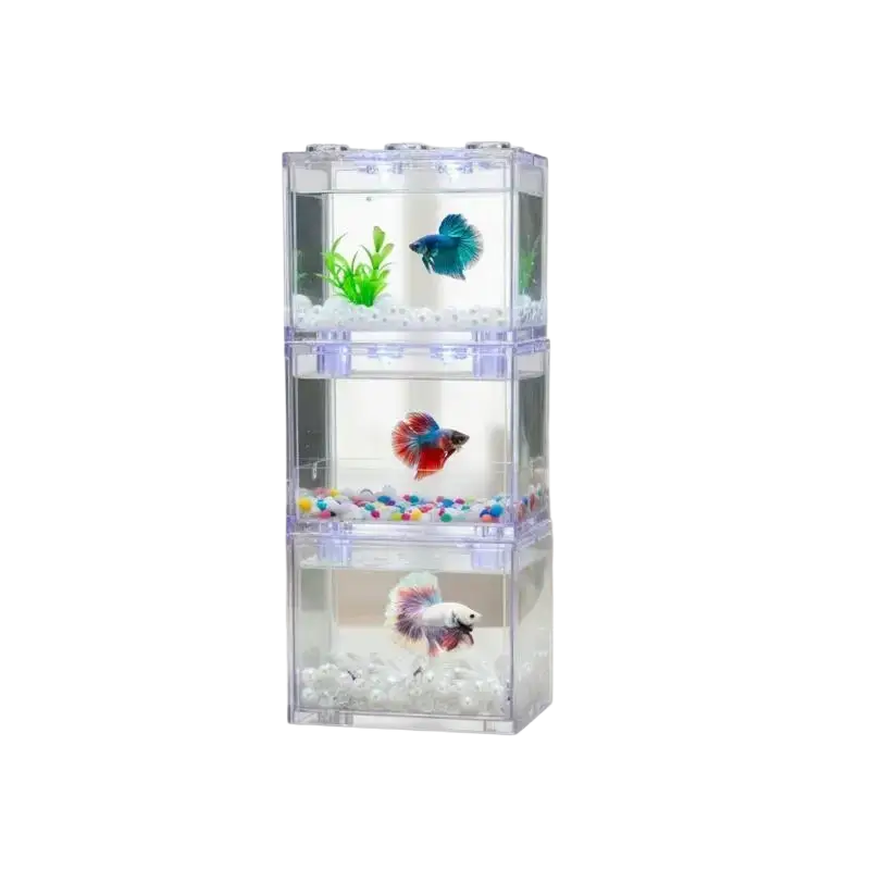 Filtered acrylic betta fish tank stackable mini aquarium with clear three-tier stacked design housing colorful betta fish