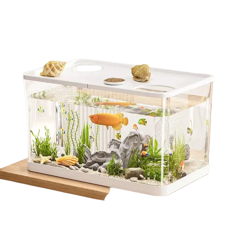 Clear rectangular ecological desktop fish tank with white lid, vibrant orange goldfish, green plants, and small colorful fish