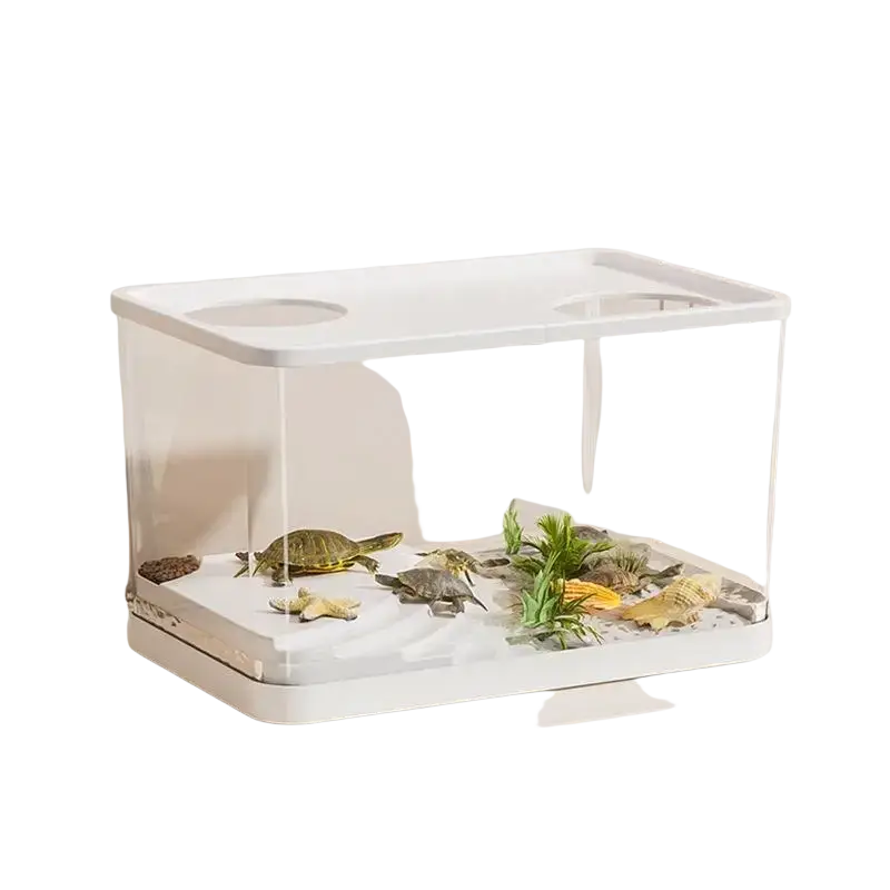 White rectangular plastic fish tank with clear sides and lid containing miniature turtles and ecological desktop plants