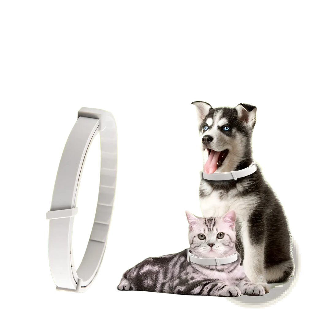 White adjustable flea and tick collar for dogs and cats with soft material and sleek minimalist design for comfort