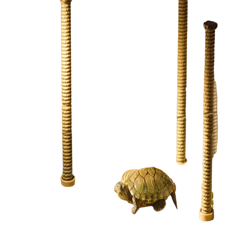 A green and brown turtle resting on a floating wooden turtle basking platform aquarium ramp inside a glass enclosure