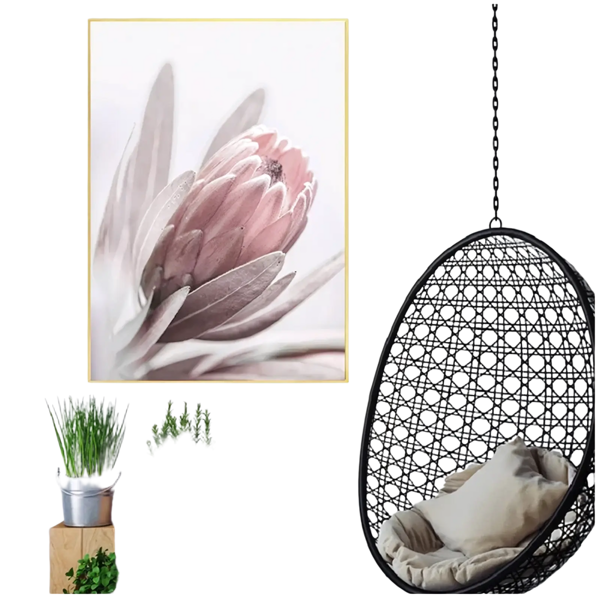 A framed floral canvas wall art featuring a soft pink protea flower with layered petals and muted grayish tones