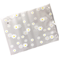 Floral clear travel cosmetic bag with translucent white plastic, white daisy pattern, and clear zipper closure
