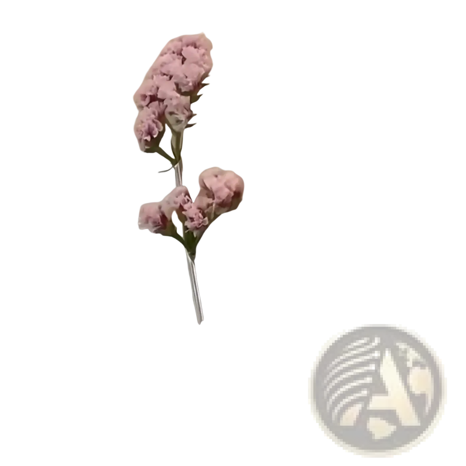 A delicate pink dried flower hair clip with a slender metallic stem for creative corsage accessory use