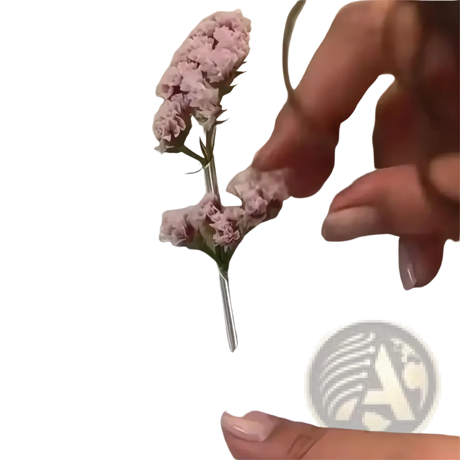 A delicate pink dried flower brooch pin with a slender metallic backing for creative corsage accessory use