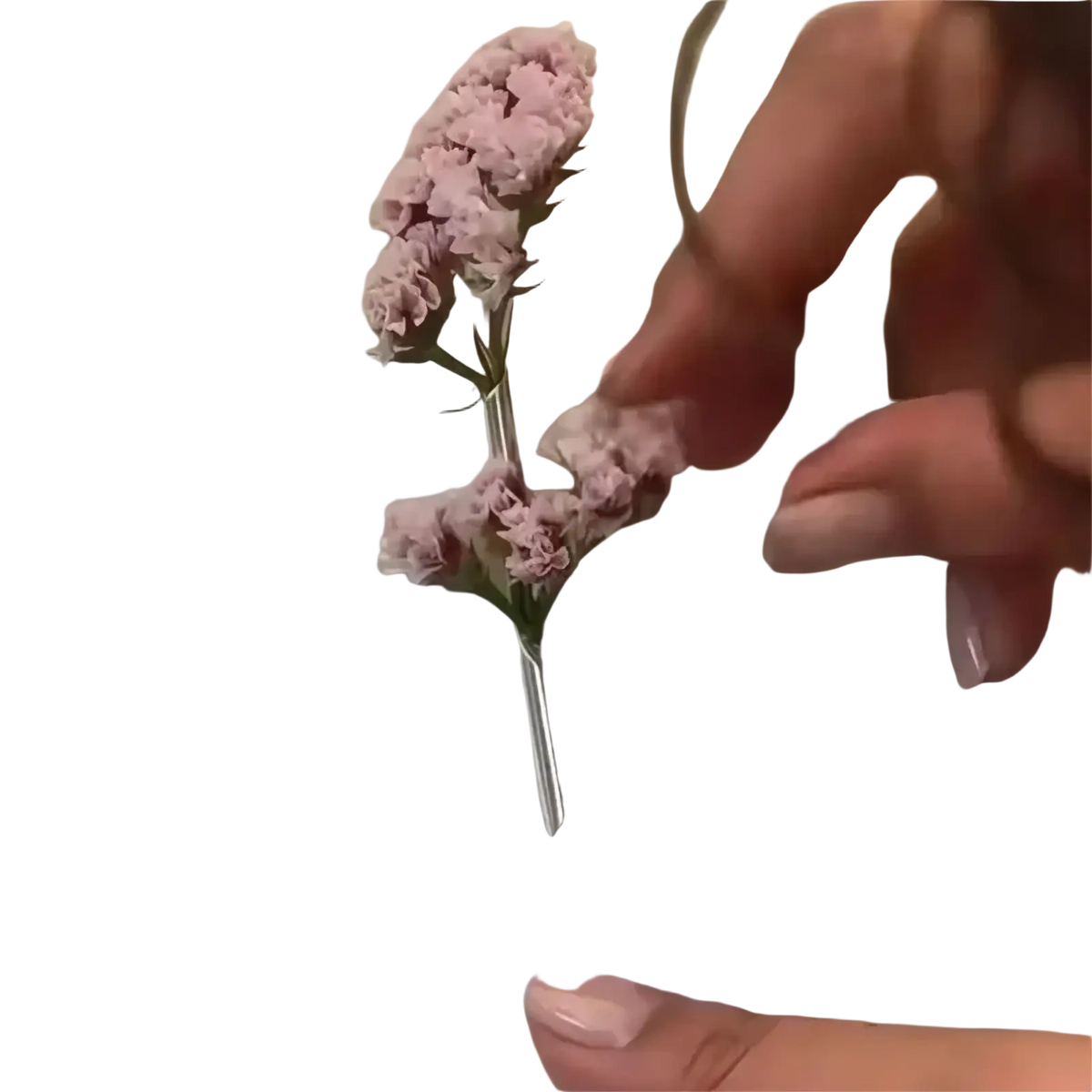 A delicate pink dried flower brooch pin with a slender metallic backing for creative corsage accessory use