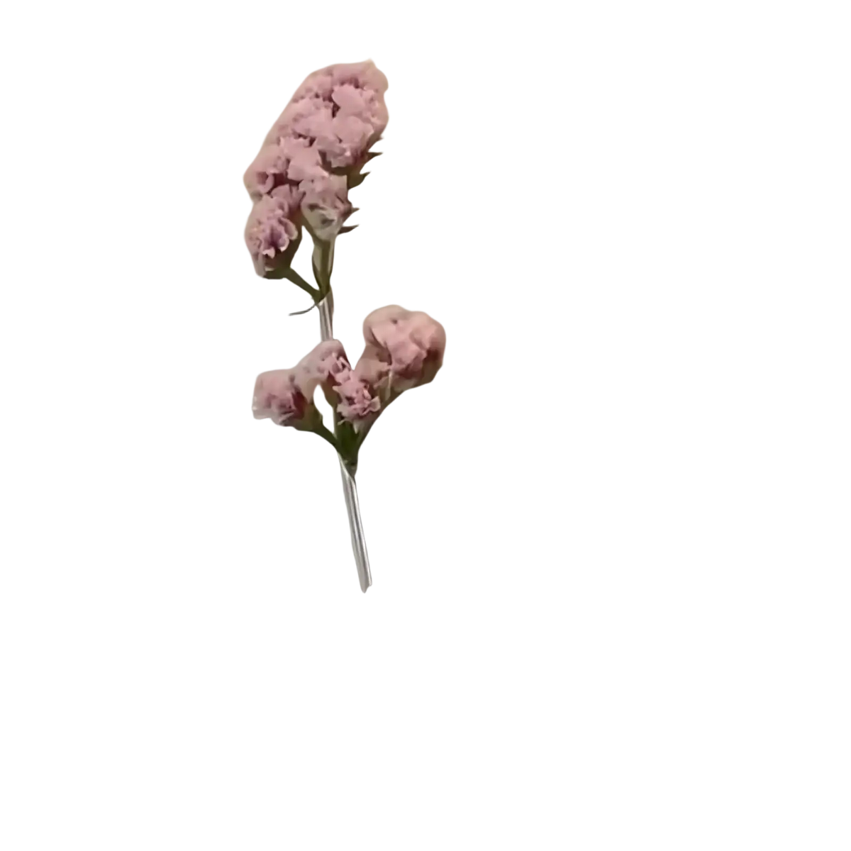 A delicate pink dried flower hair clip with a slender metallic stem for creative corsage accessory use