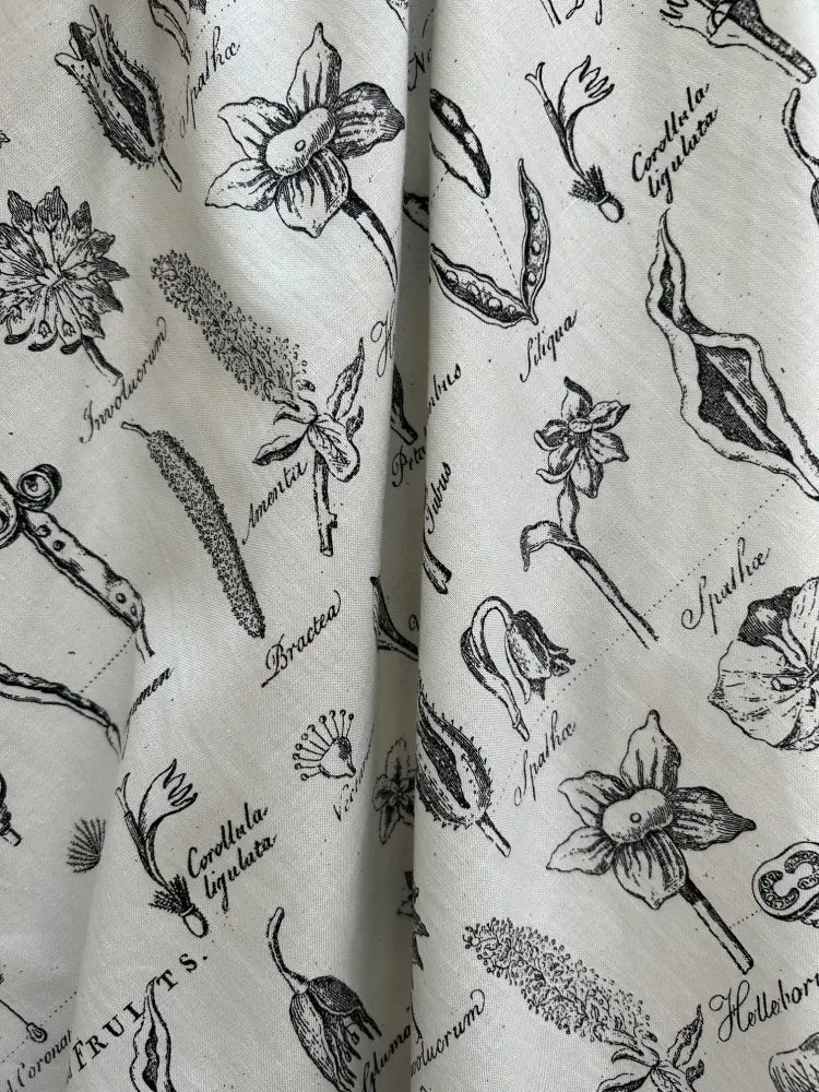 Cream-colored cotton a-line dress featuring detailed black botanical illustration pattern with labeled plant species