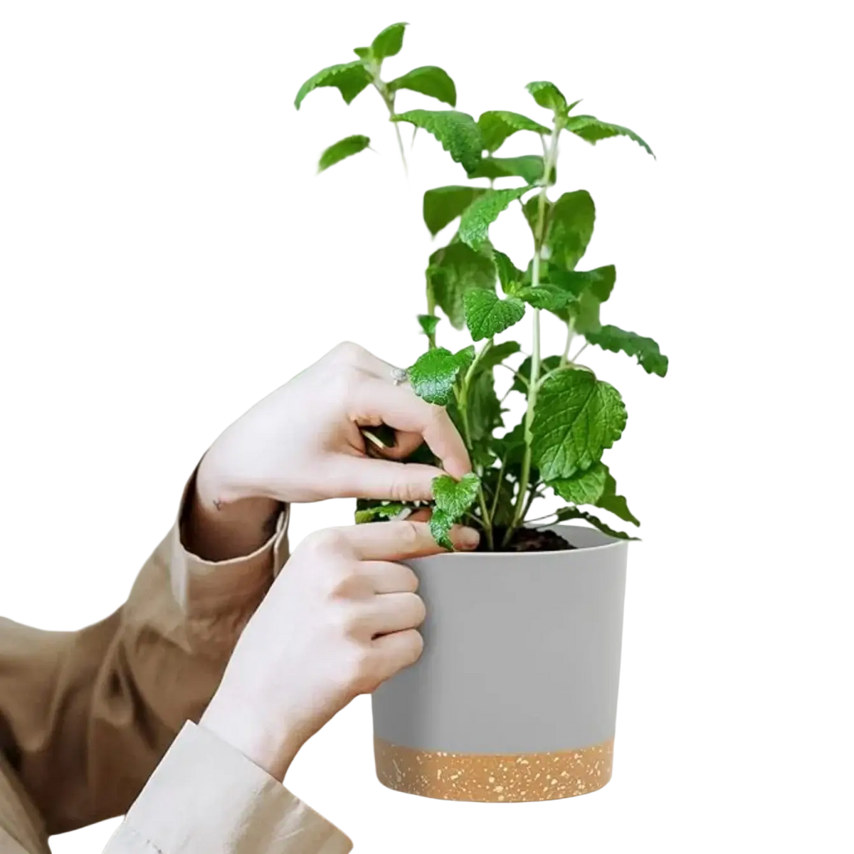 A lush green mint plant in a modern gray and terracotta speckled plastic flower pot with drainage