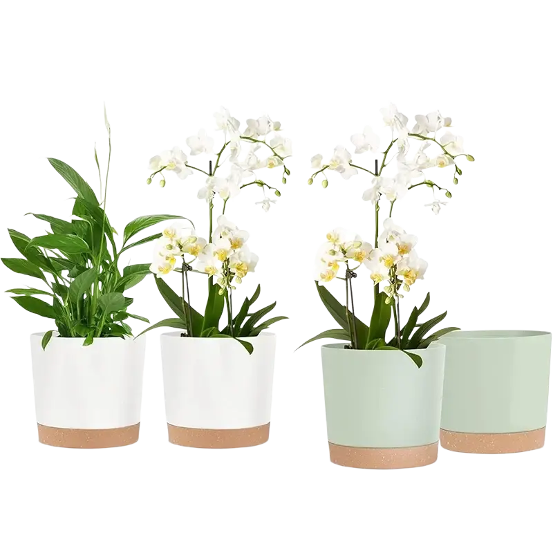 Set of four modern ceramic flower pots in white and mint green with terracotta bases holding various plants