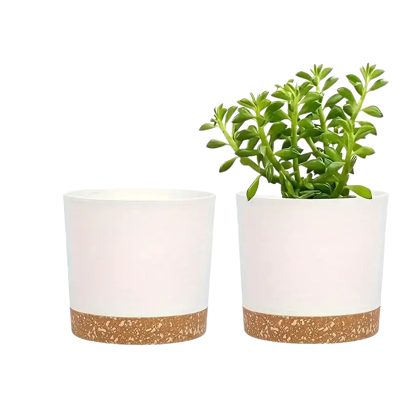 White ceramic flower pots with natural cork base one holding green succulent modern plastic planters with drainage