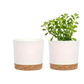 White ceramic flower pots with natural cork base one holding green succulent modern plastic planters with drainage