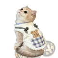 Fluffy white winter cat vest with blue and white checkered pocket black-and-white gingham bows and brown teddy bear patch