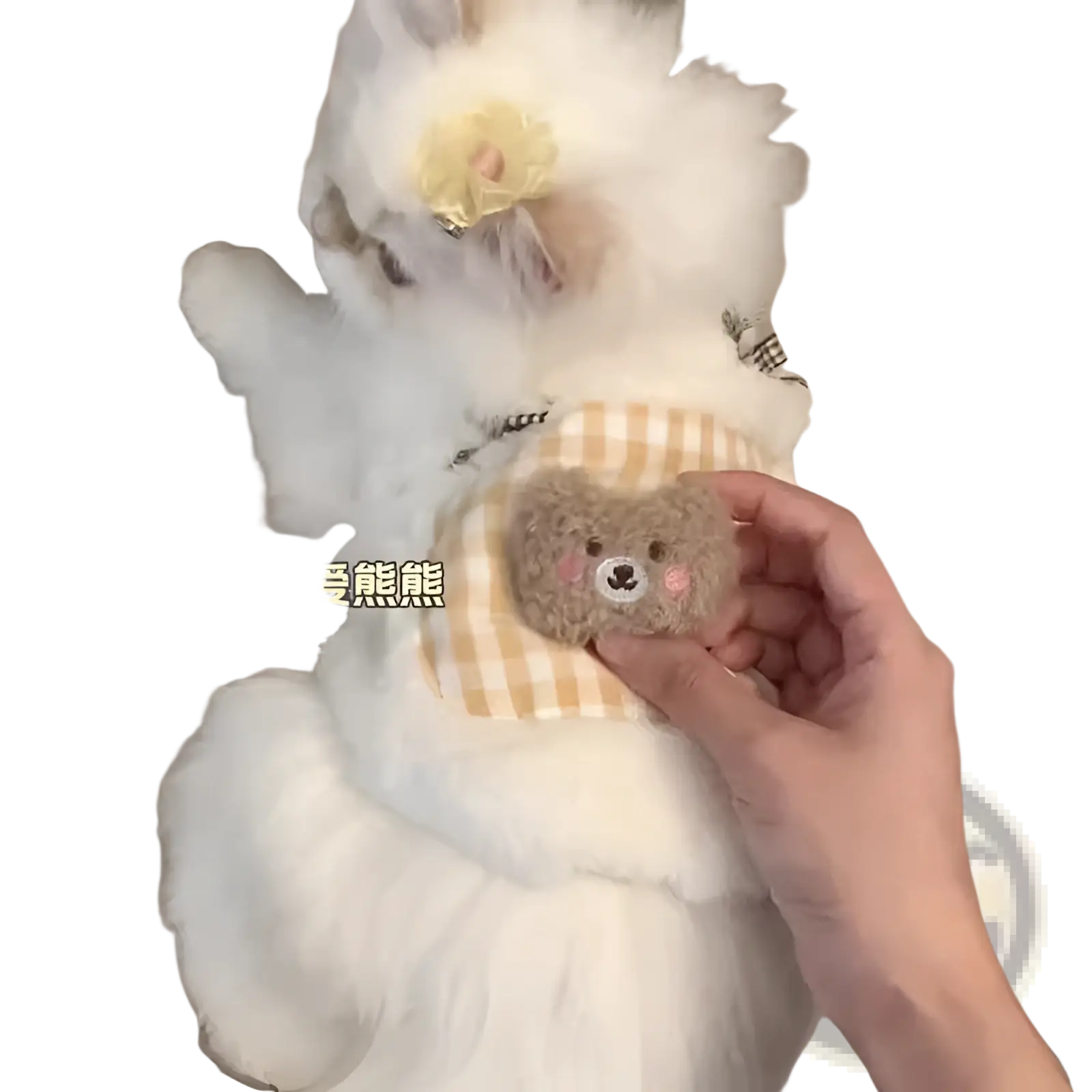 Fluffy winter cat vest with a soft brown plush bear-shaped pin with embroidered facial features and pink cheeks