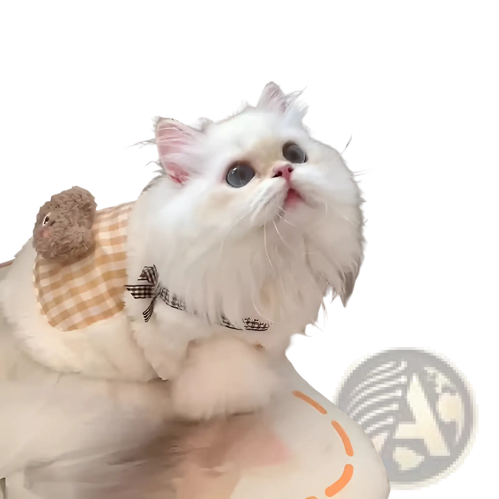 Fluffy white long-haired cat wearing a beige and brown checkered fluffy winter cat vest with bear pocket and black bow details