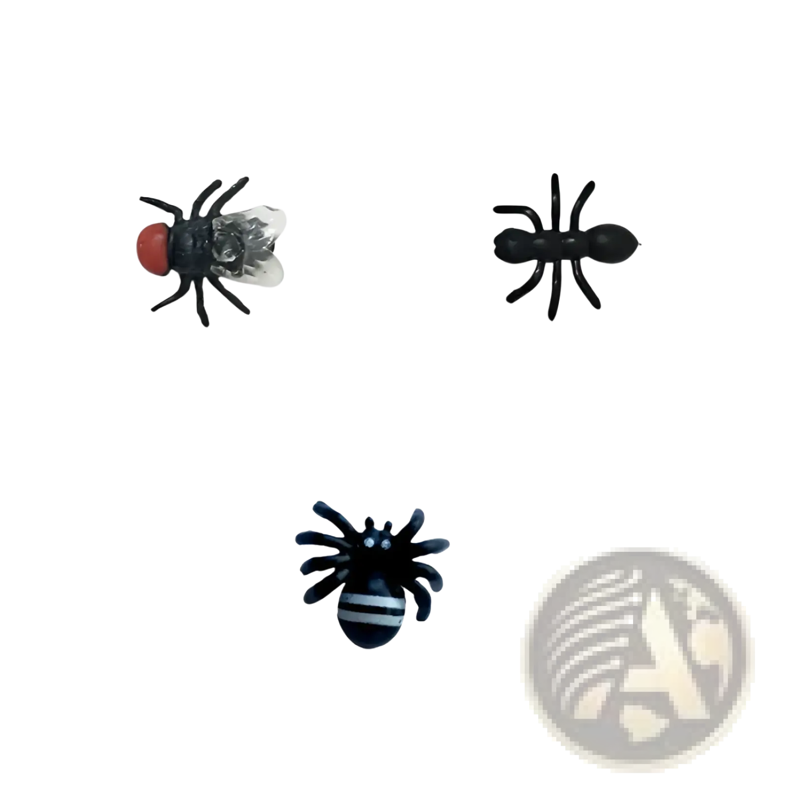 Black plastic insect buttons shaped like a fly with red head, a segmented ant, and a striped spider for kids toy fly model
