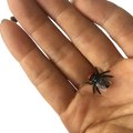 A small black plastic fly model insect button with a red head and translucent wings for kids toy resting on a palm
