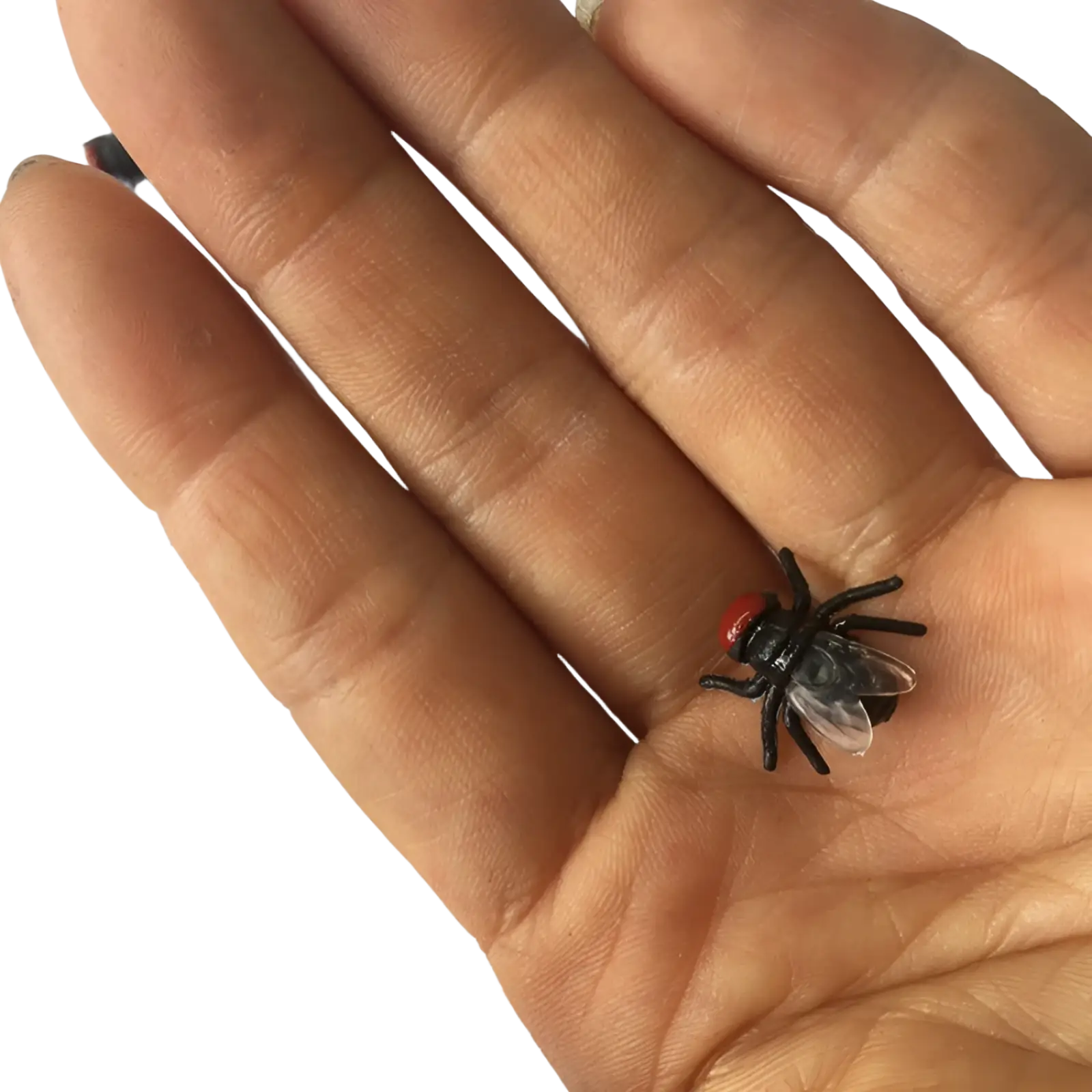 A small black plastic fly model button with a red head and translucent wings for kids toy held on an open palm