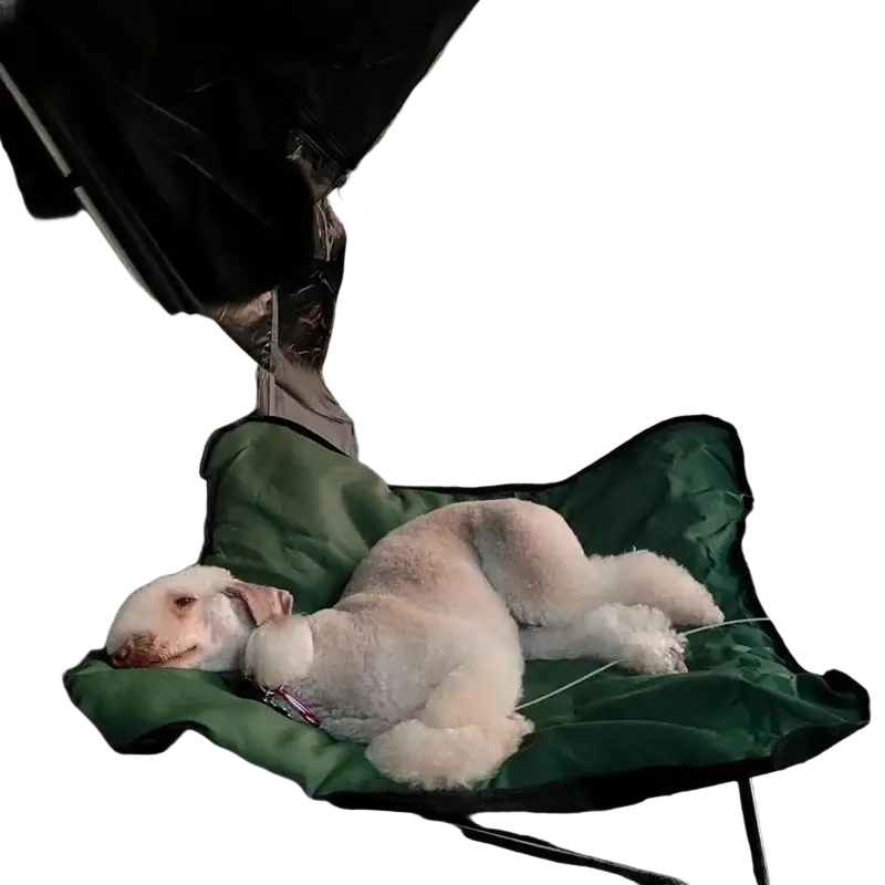 A fluffy white poodle rests on a green foldable pet cot with a metal frame model number 1