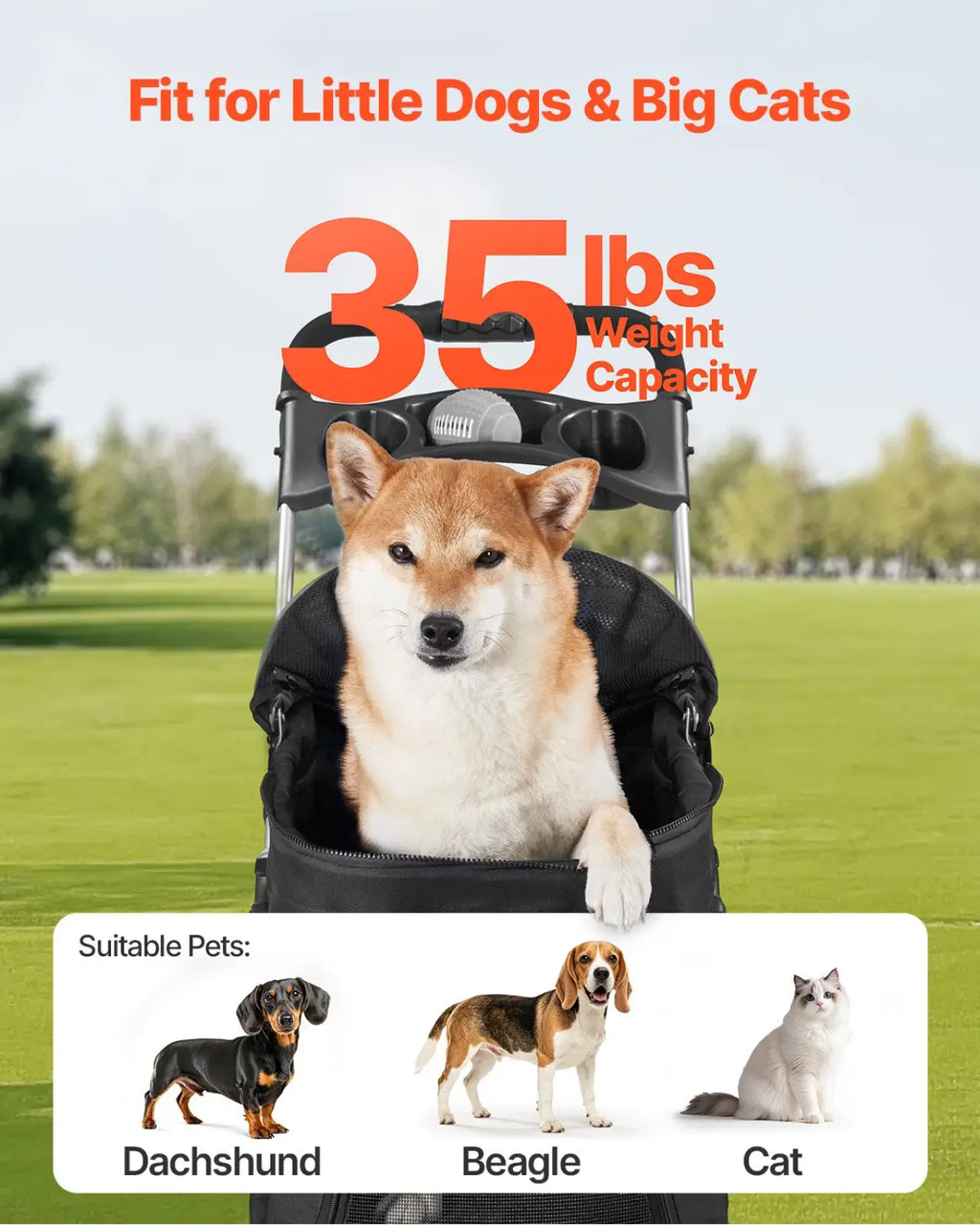 Black foldable pet stroller with 35lb capacity and detachable carrier designed for small dogs and big cats