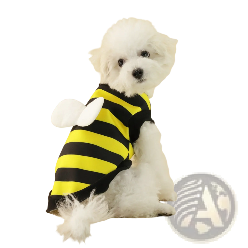 Yellow and black striped bee costume with white fabric wings for small dog in fleece frog dog hoodie pet sweater style