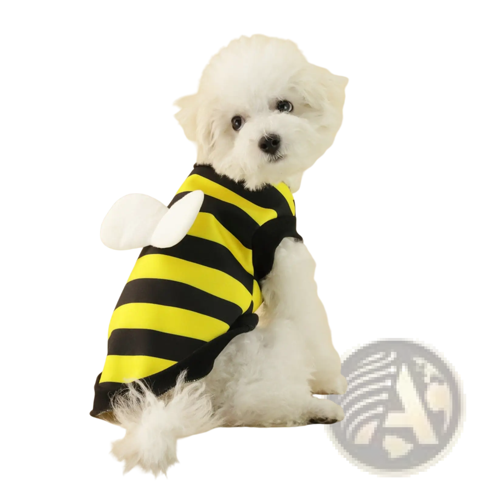 Yellow and black striped bee costume with white fabric wings for small dog in fleece frog dog hoodie pet sweater style