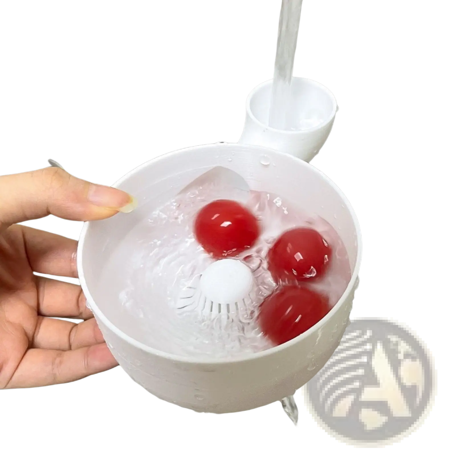 White plastic fruit washing bowl with built-in brush and spout holding three red cherry tomatoes in water