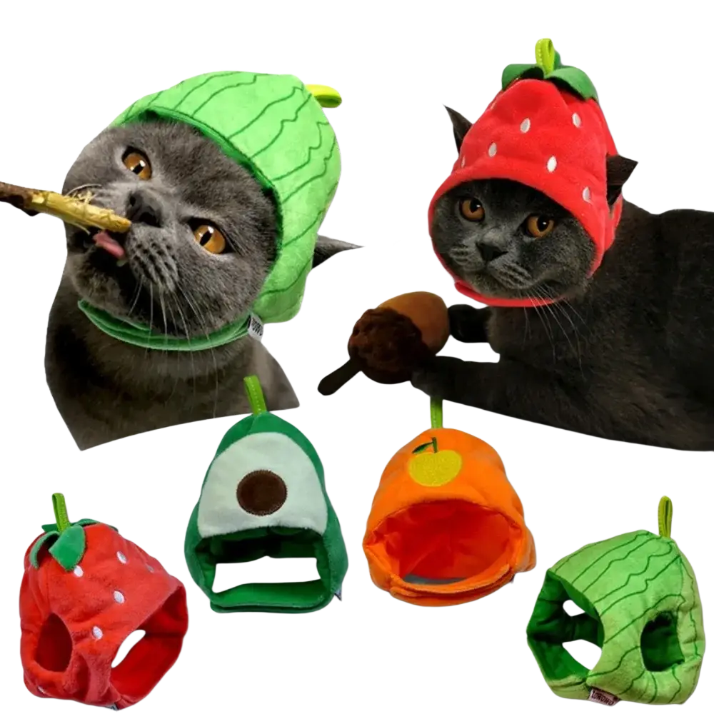 Cute fruit shape plush cat funny hats in vibrant colors featuring playful designs for a funny hat costume
