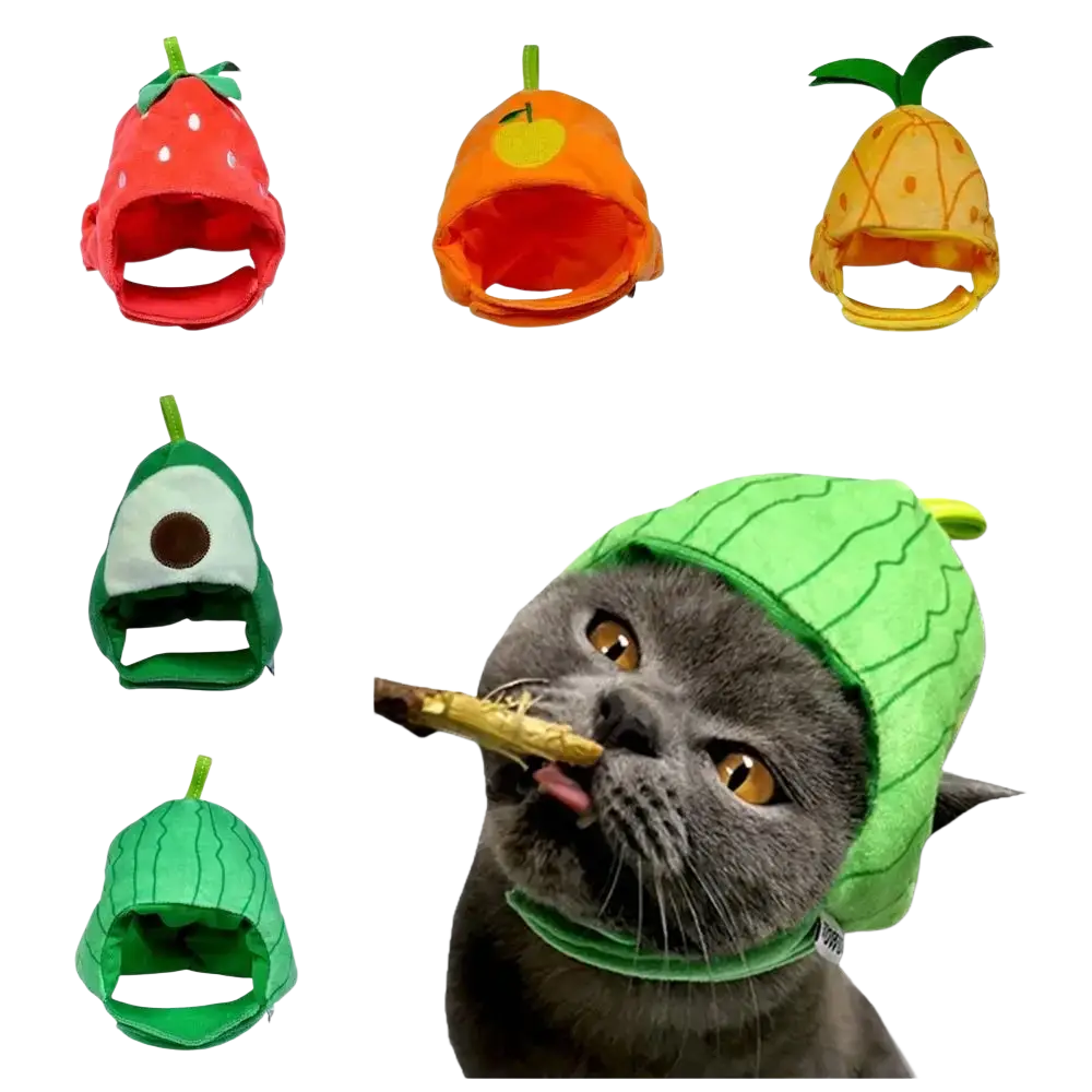 Green watermelon-themed plush cat funny hat with stitched rind pattern and small stem fruit shape costume