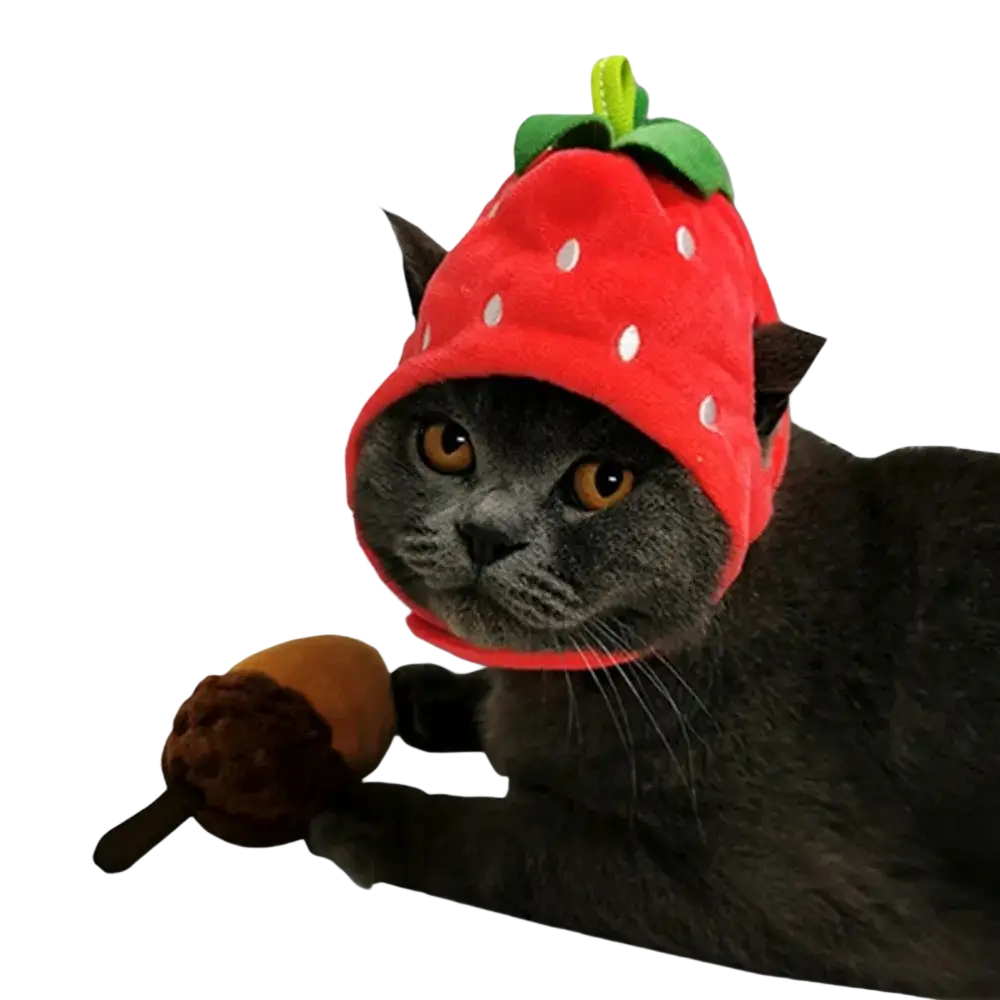 A gray cat wearing a plush red strawberry fruit shape funny hat with white polka dots and a green leafy top