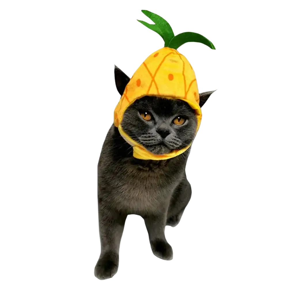 Yellow pineapple-shaped plush cat funny hat with green leafy top and orange dot pattern fruit shape costume