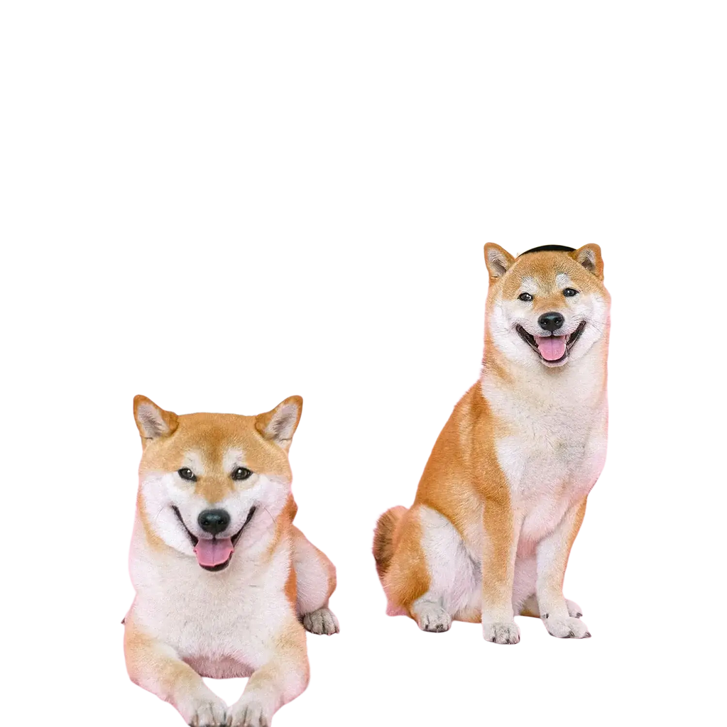 Two shiba inus wearing blue and yellow party hats pose beneath a glittery pink funny dog birthday banner