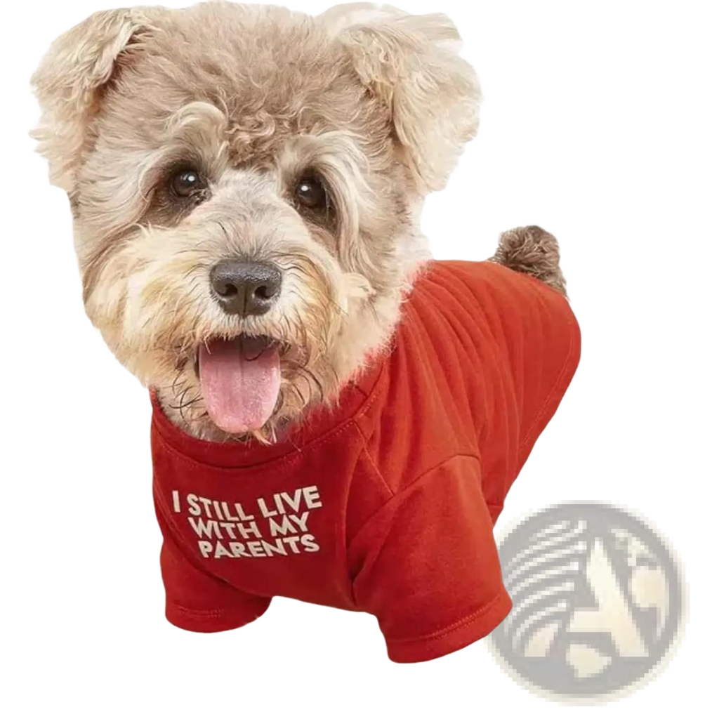 A fluffy light brown dog wearing a red funny dog t-shirt with white text for small dog clothes and pet apparel