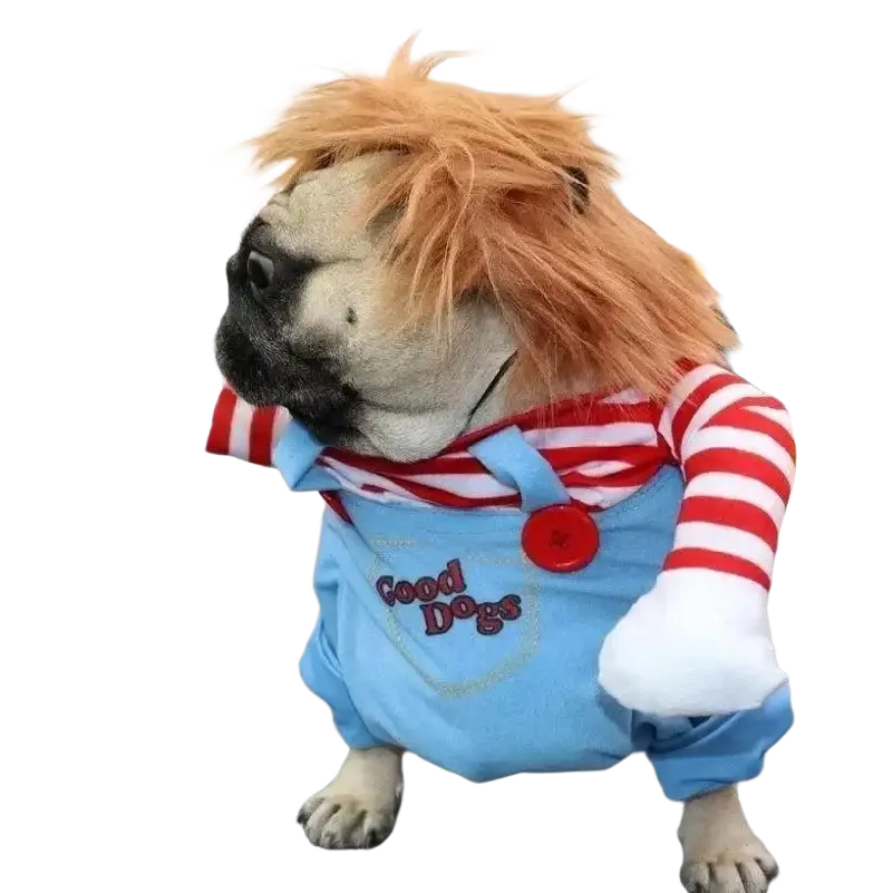 A pug dressed in a funny killer doll dog costume with orange hair blue overalls and toy knife from mainland china