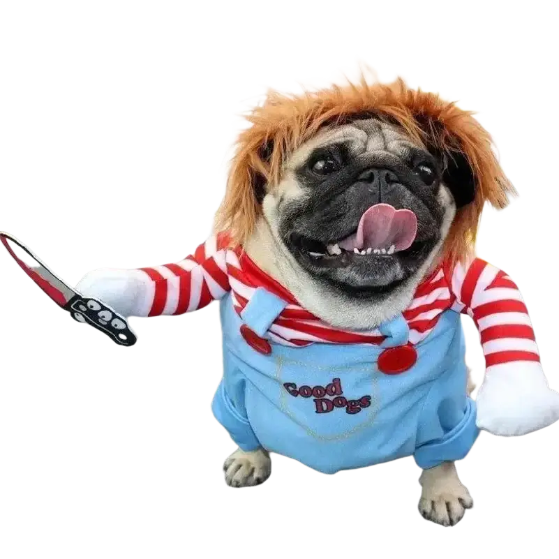 Pug in a funny killer doll dog costume from mainland china wearing red white striped shirt blue overalls with toy knife