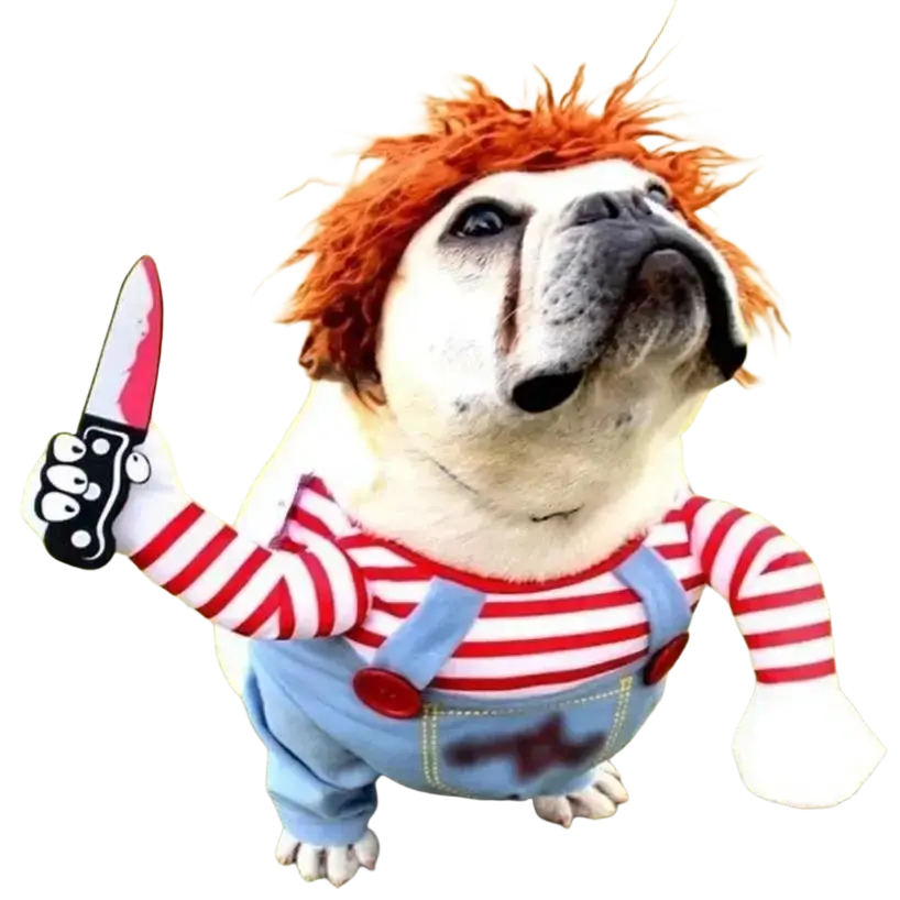 A bulldog dressed in a funny killer doll dog costume with red and white striped shirt, blue overalls, orange wig, and toy knife