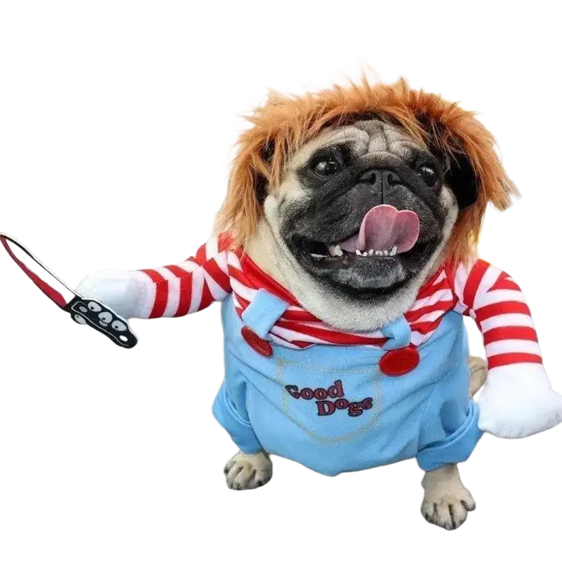 A pug wearing a funny killer doll dog costume with a red and white striped shirt blue overalls wig and toy knife