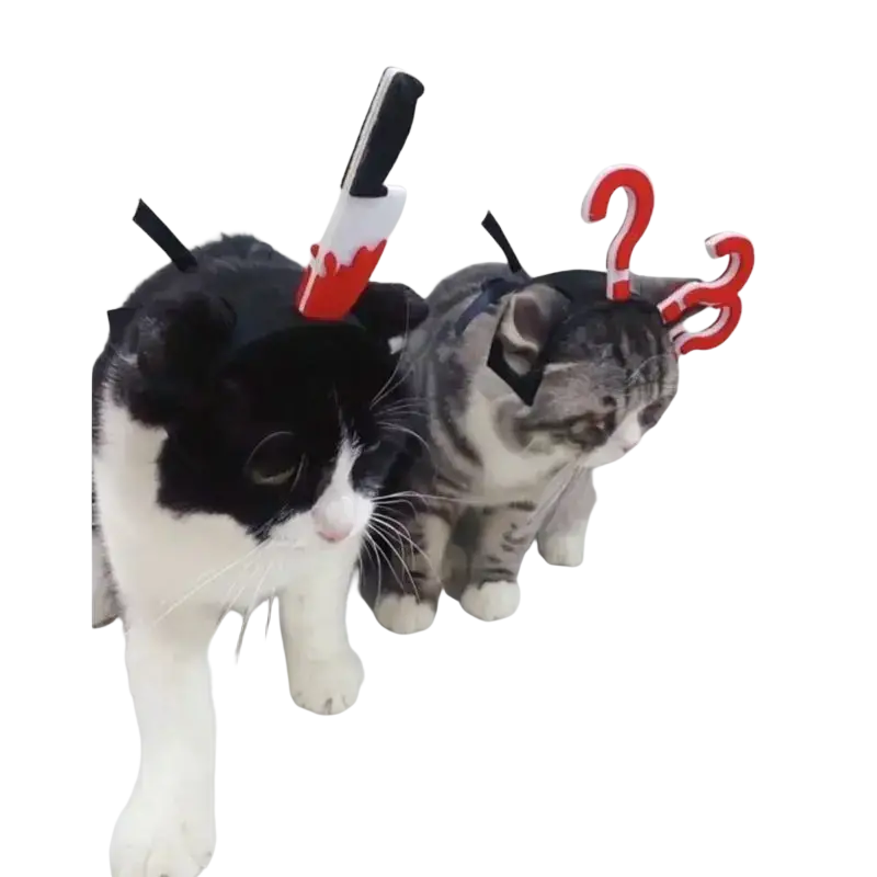 Black and white cat wearing a funny pet costume headwear with a toy knife on its back showing the back side