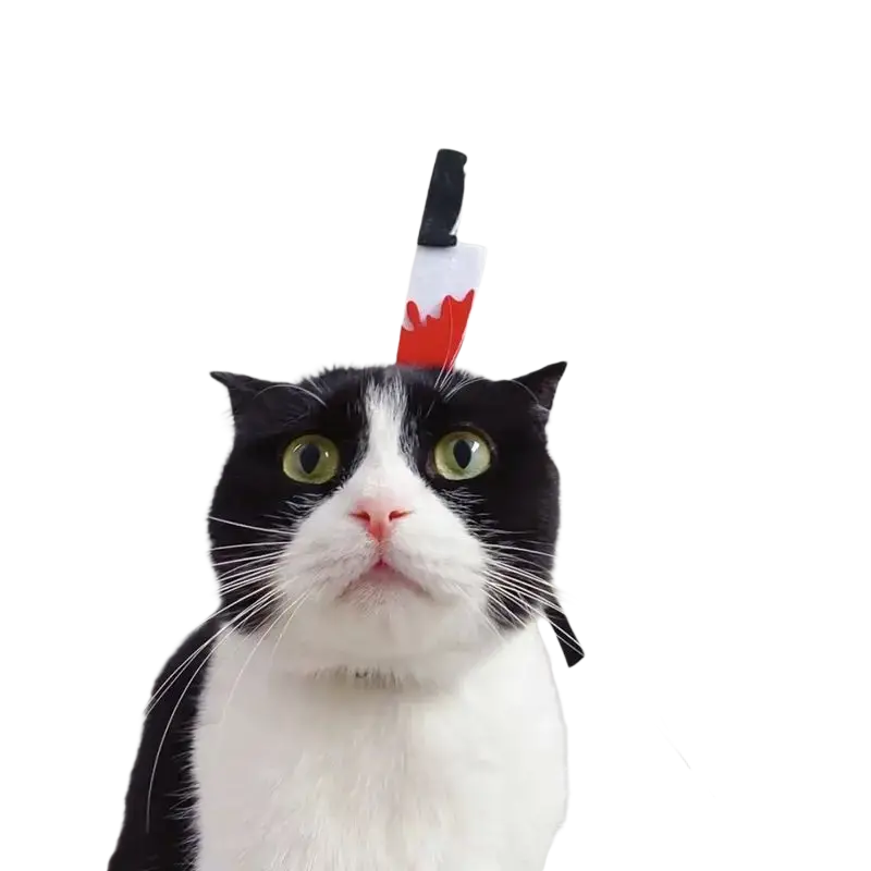 A black and white cat with green eyes wearing a funny pet costume knife headband for cats and dogs