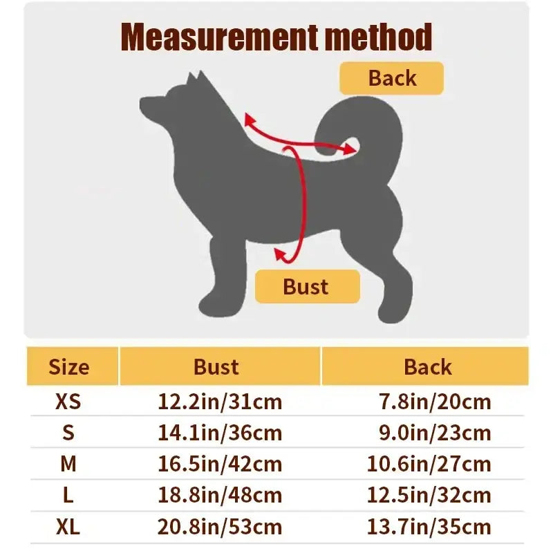 Gray silhouette diagram showing bust and back measurements with size charts for funny pumpkin dog costume fleece pet apparel