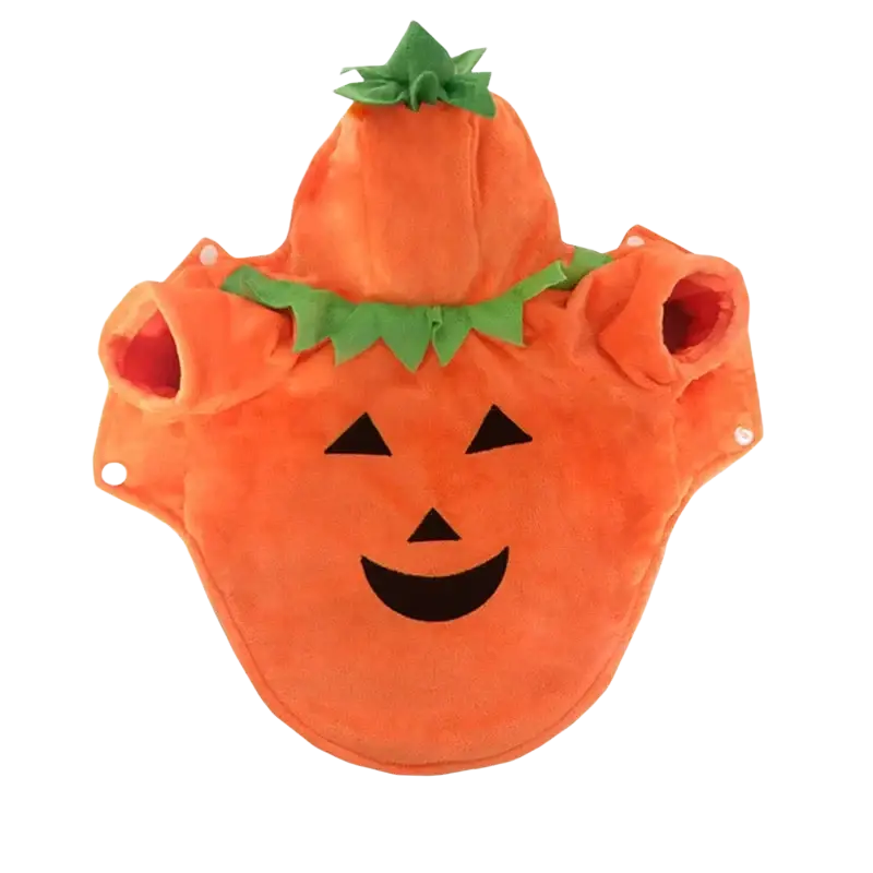 Funny pumpkin dog costume made of orange plush fleece with smiling face and green fabric stem crown