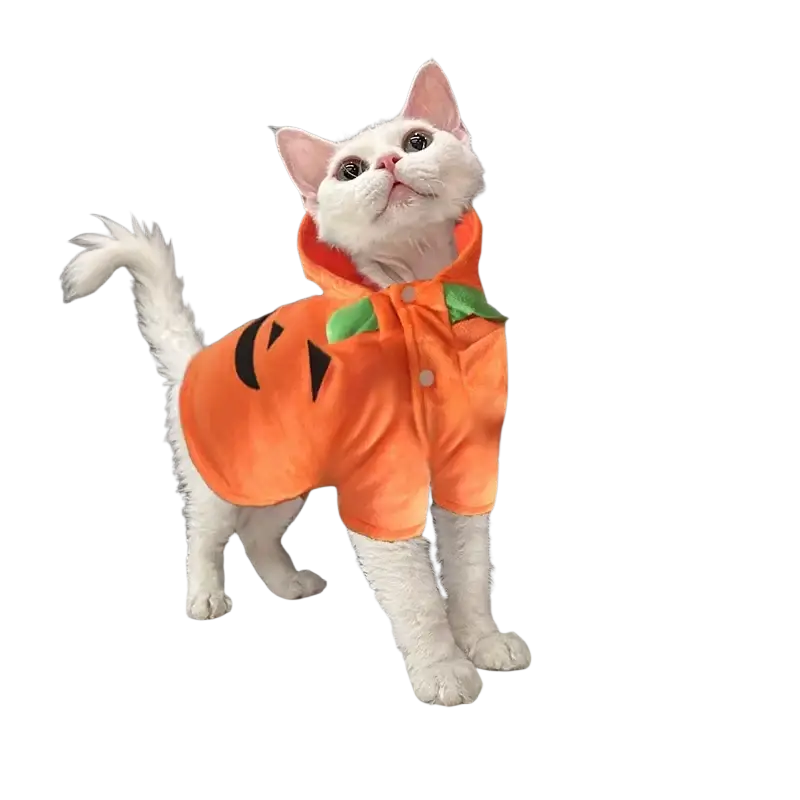 Orange plush pumpkin-themed fleece hoodie for cats in a funny pumpkin dog costume pet apparel design