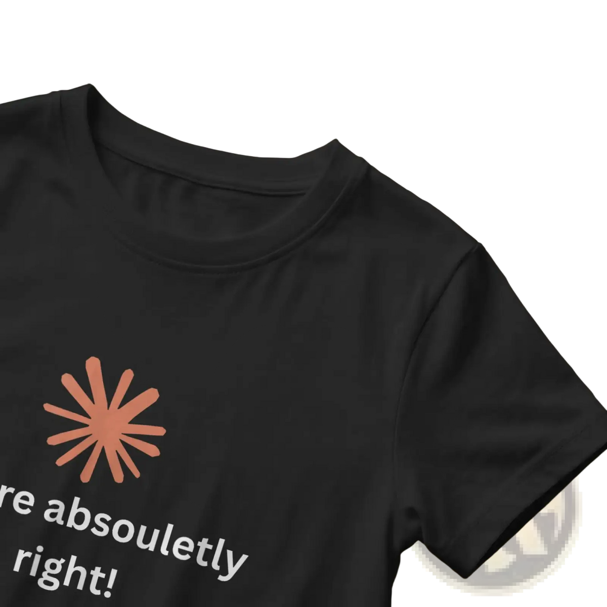 Black cotton men’s t-shirt with peach starburst graphic and white text are absolutely right funny quote design